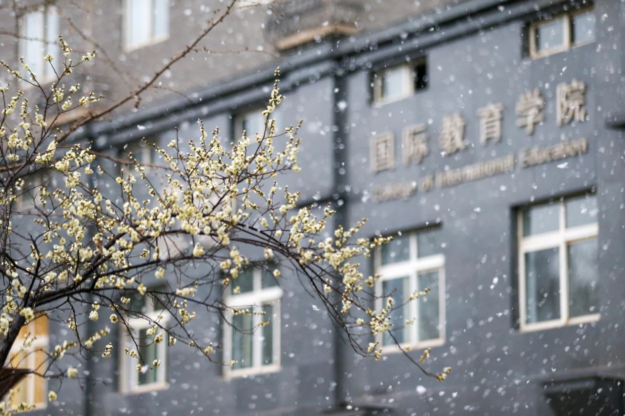 “雪”“花”共舞