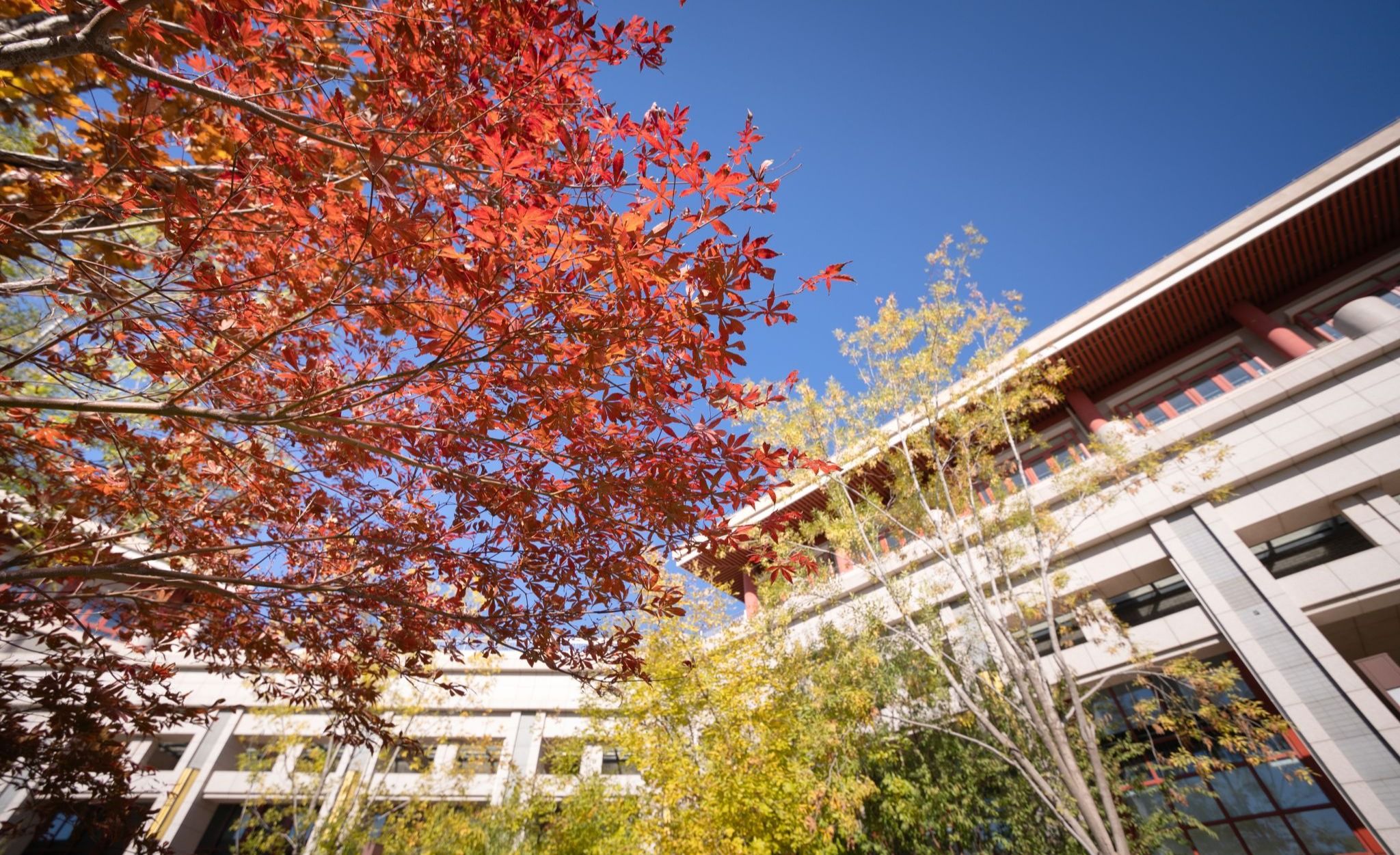 民族学与社会学学院举办首届“美美与共”全国民族学研究生田野研究论坛